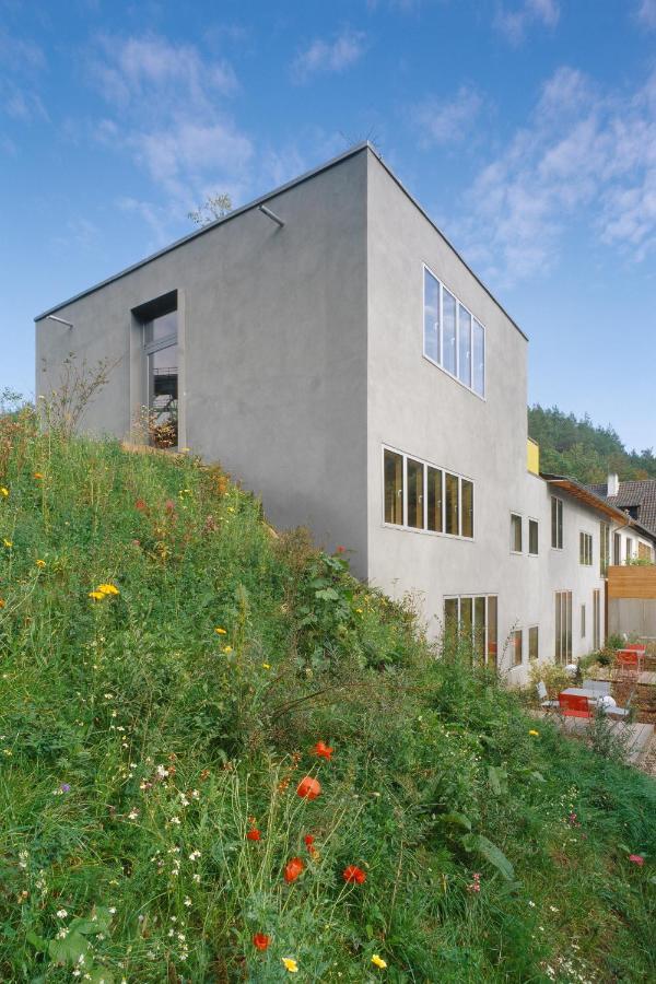 Seehaus Forelle Haeckenhaus Ramsen Zewnętrze zdjęcie